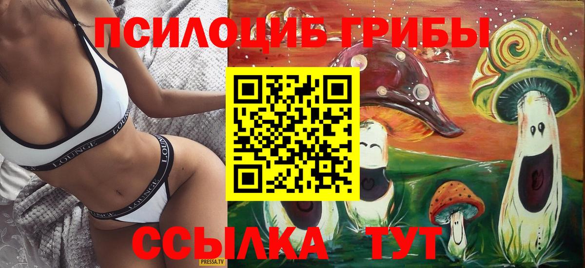 Псилоцибиновые грибы мухоморы  Псилоцибиновые грибы Cubensis  Раменское  Вход с VPN 